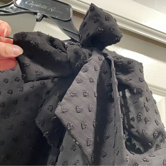 Zara Sheer Heart Polk Dot Shoulder Bow Blouse Size M - Picture 5 of 13